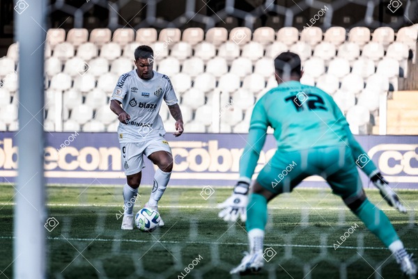 230723_Santos_2x2_Botafogo_Brasileirão_foto Dennis Calçada_01 (244)-1.jpg