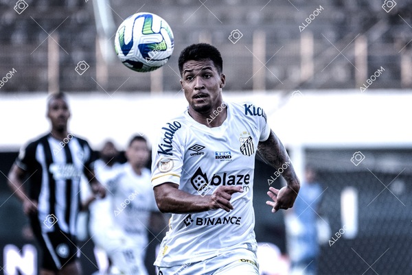 230723_Santos_2x2_Botafogo_Brasileirão_foto Dennis Calçada_01 (426)-1.jpg