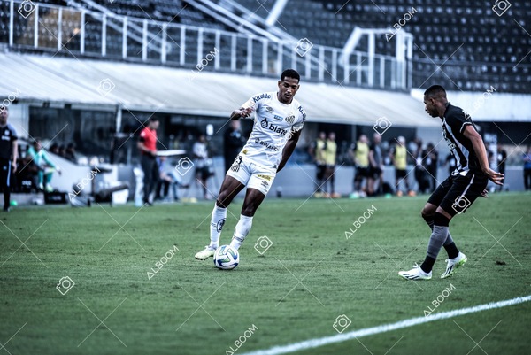 230723_Santos_2x2_Botafogo_Brasileirão_foto Dennis Calçada_01 (457)-1.jpg