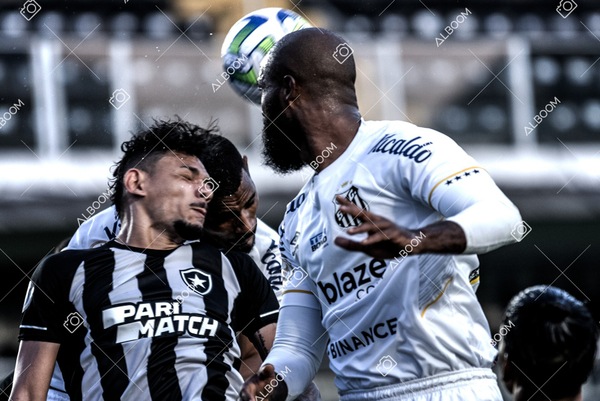 230723_Santos_2x2_Botafogo_Brasileirão_foto Dennis Calçada_01 (624)-1.jpg