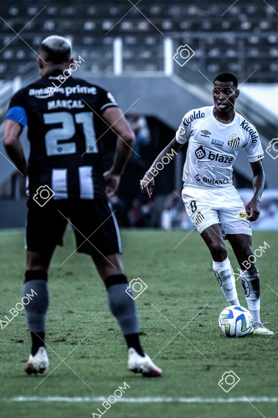 230723_Santos_2x2_Botafogo_Brasileirão_foto Dennis Calçada_01 (571)-1.jpg