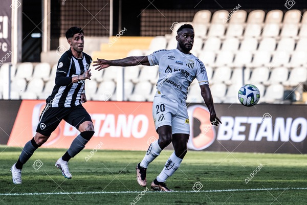 230723_Santos_2x2_Botafogo_Brasileirão_foto Dennis Calçada_01 (310)-1.jpg