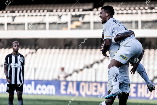 230723_Santos_2x2_Botafogo_Brasileirão_foto Dennis Calçada_01 (265)-1.jpg
