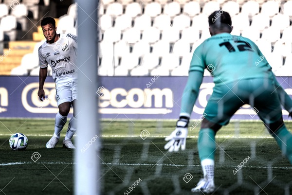 230723_Santos_2x2_Botafogo_Brasileirão_foto Dennis Calçada_01 (241)-1.jpg