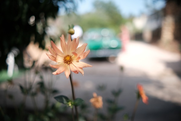 Casamento Daniela & João 9.jpg