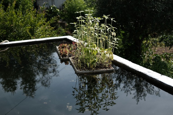 Casamento Daniela e João 10.jpg