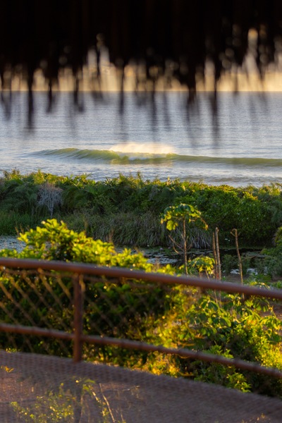 046 - © Bruno Pinheiro - 5332.jpg